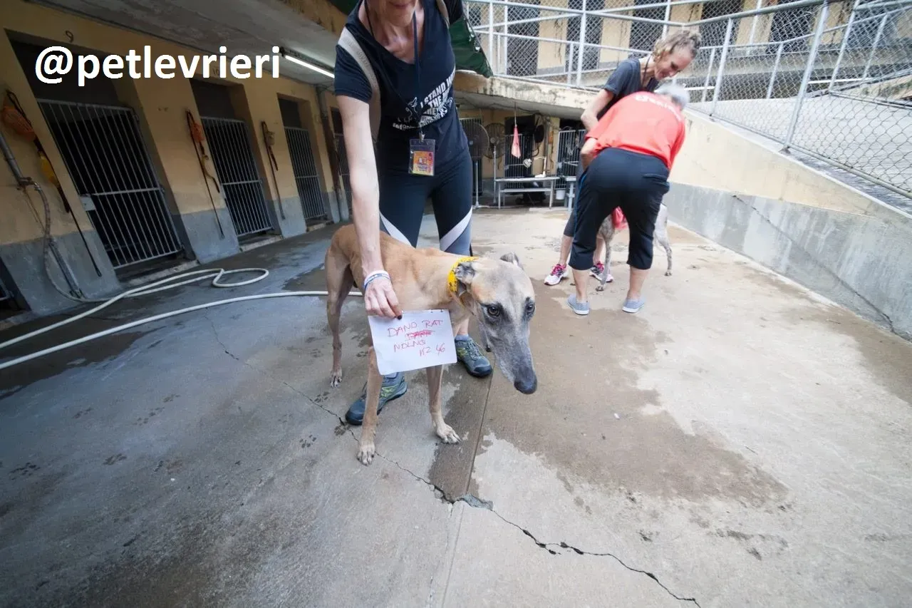 42254657 330061617729287 3855204641079820288 n