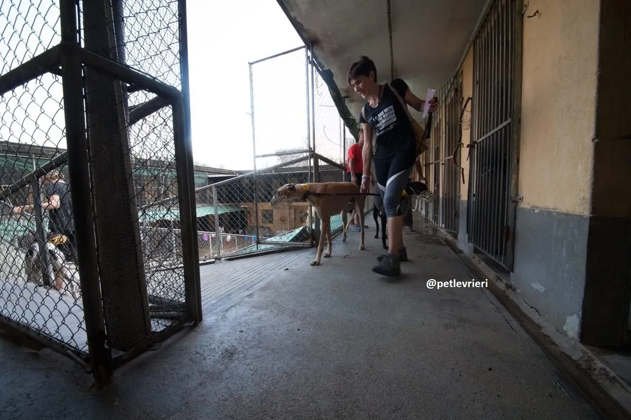 42254669 359905874753725 5801289494384607232 n