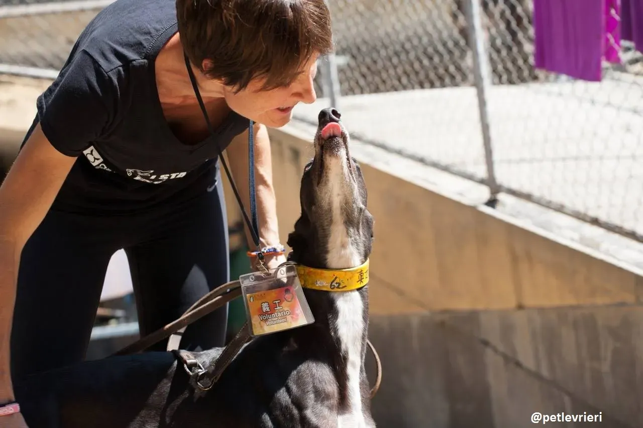 42255702 323771071505978 7115916835513434112 n 2