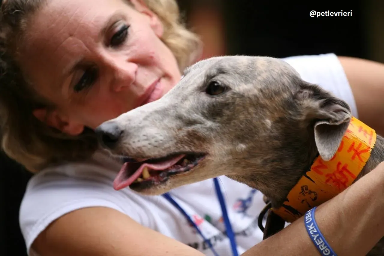 42257192 1854260141289108 669074386237521920 n