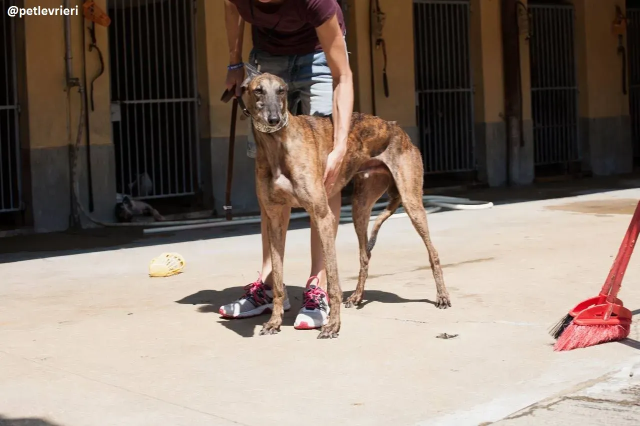 42257269 279224572687745 8591469067850743808 n