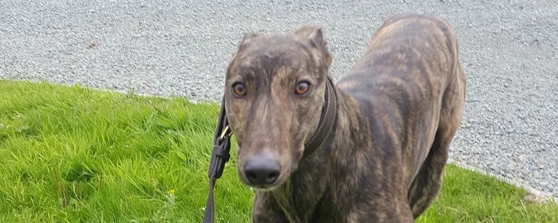 42258111 237808810193368 5338875607147085824 n e1539776989950