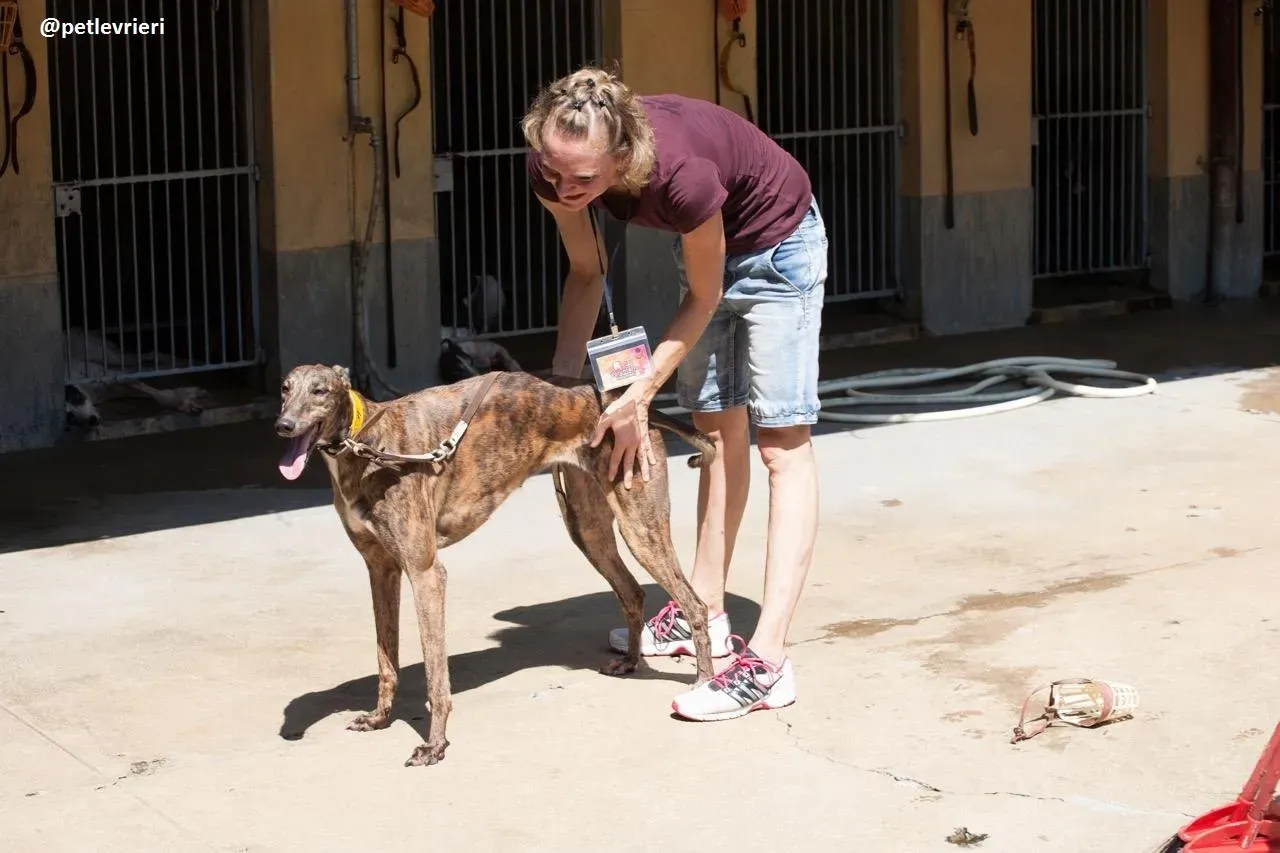 42258277 2131854593742159 6416683824578560000 n 1