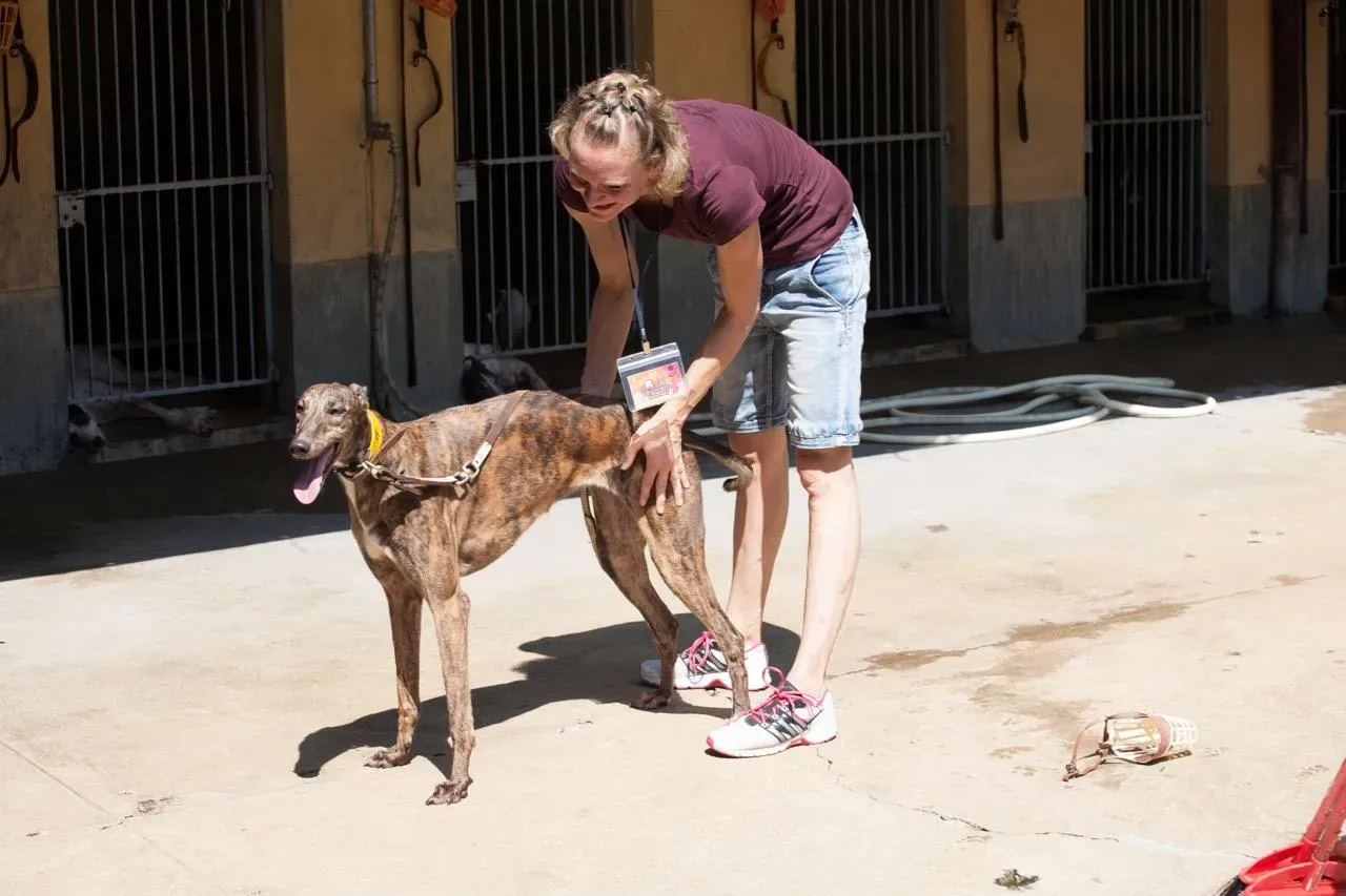 42258277 2131854593742159 6416683824578560000 n