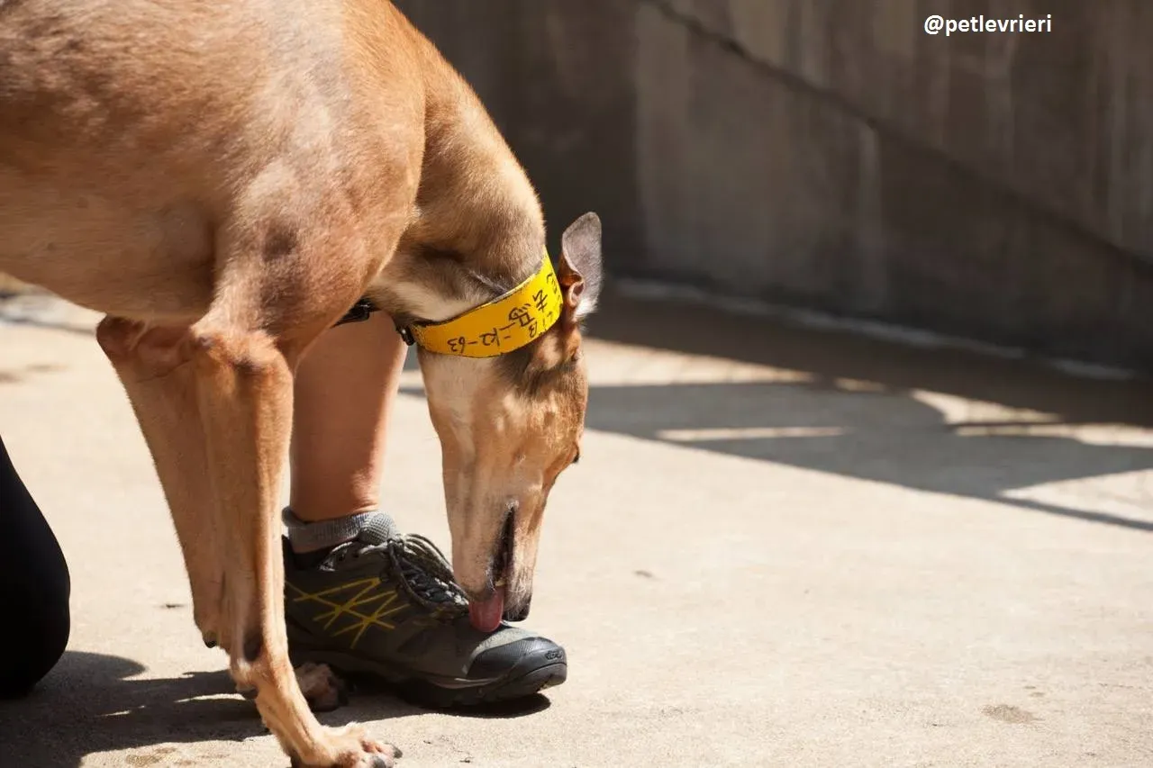 42262290 244964516362760 462534481329258496 n