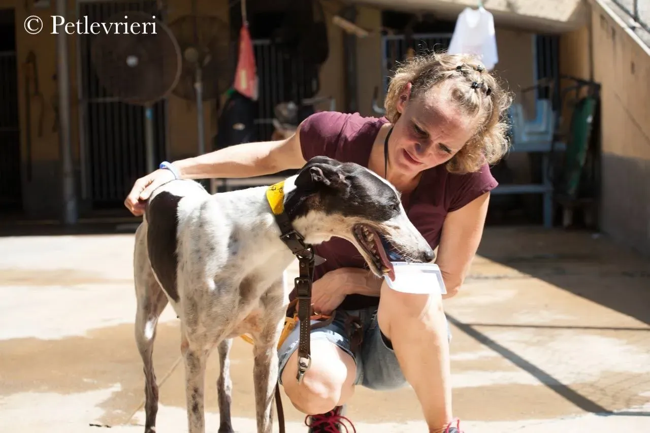 42263785 2361536067407201 1030376350961106944 n