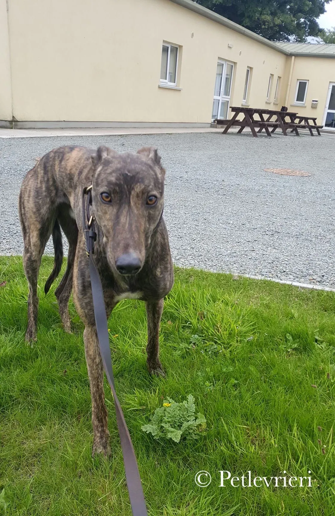 42263786 2169914979917161 4704047198478794752 n