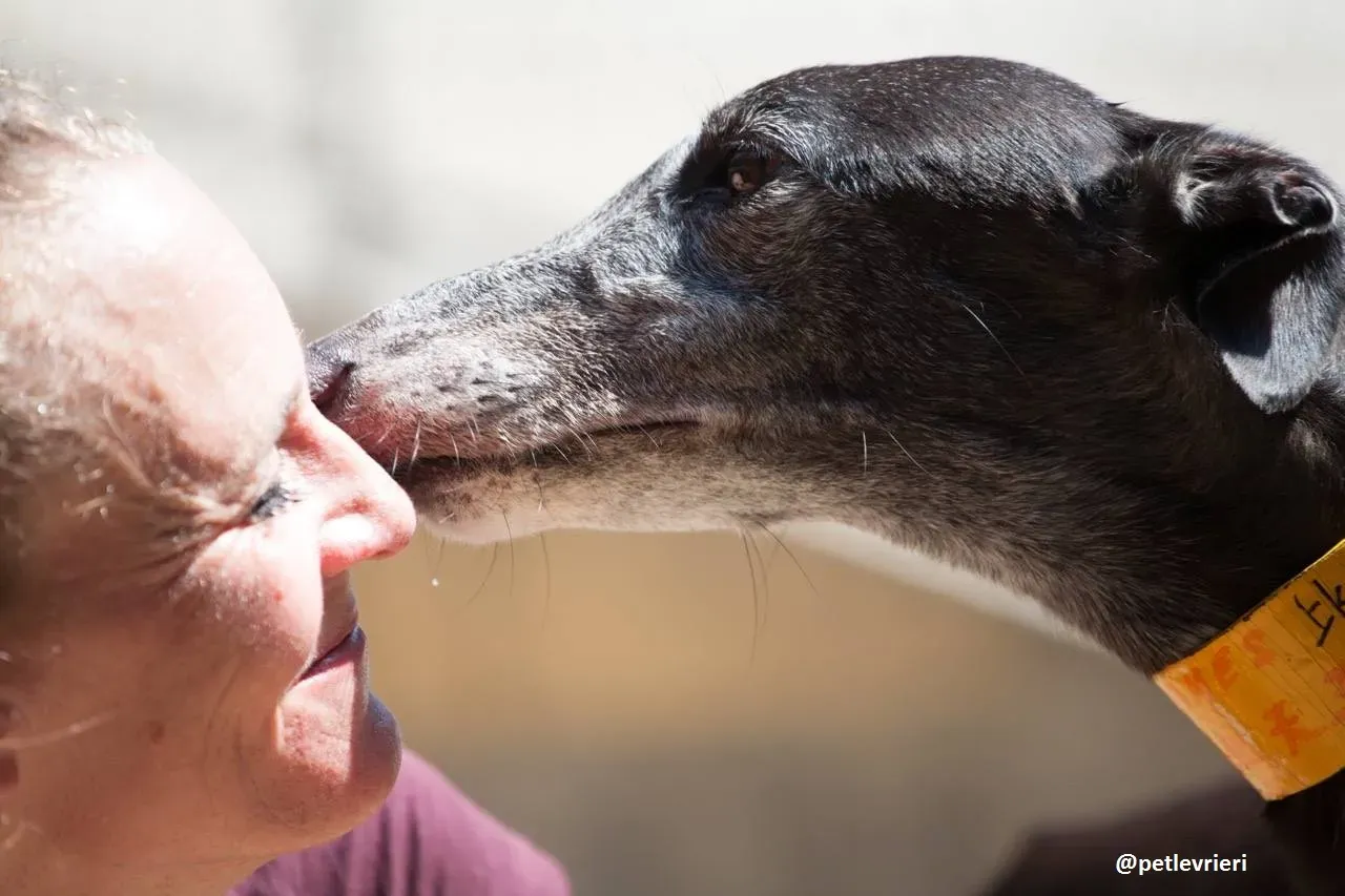 42264987 287213081881549 2210743997964484608 n