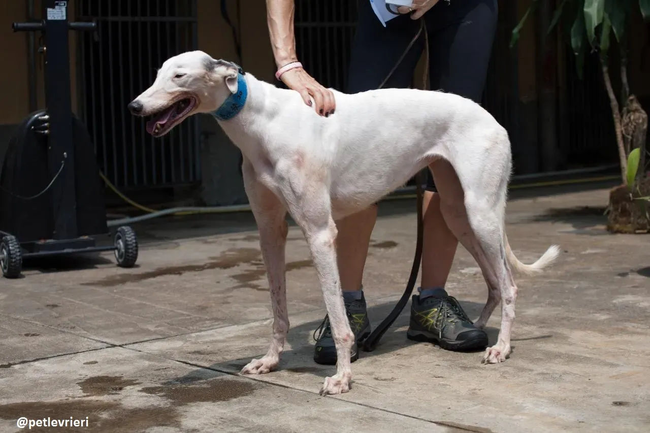 42266860 390548311483016 8091727710037999616 n