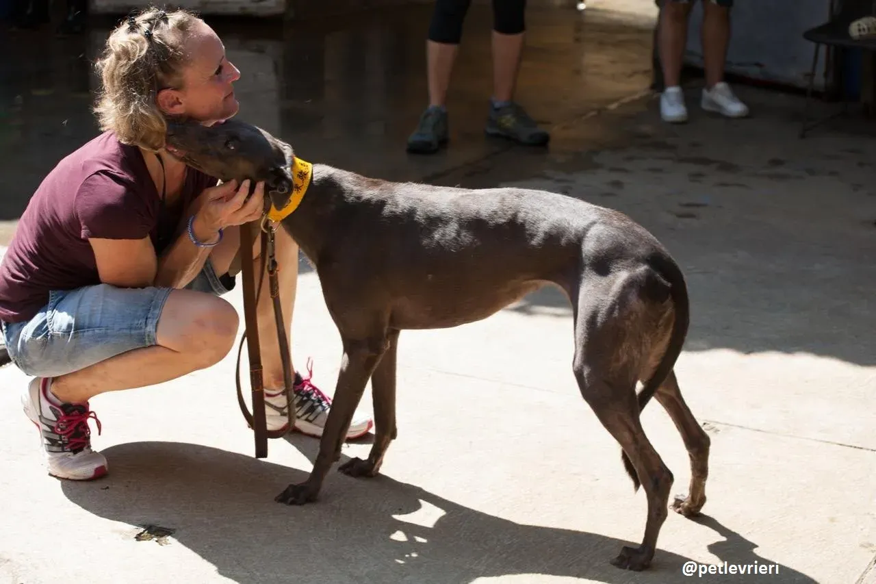 42269558 2197814393625743 1481926775553392640 n