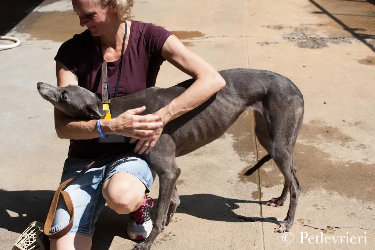 42270098 723121621372834 1673813480408350720 n