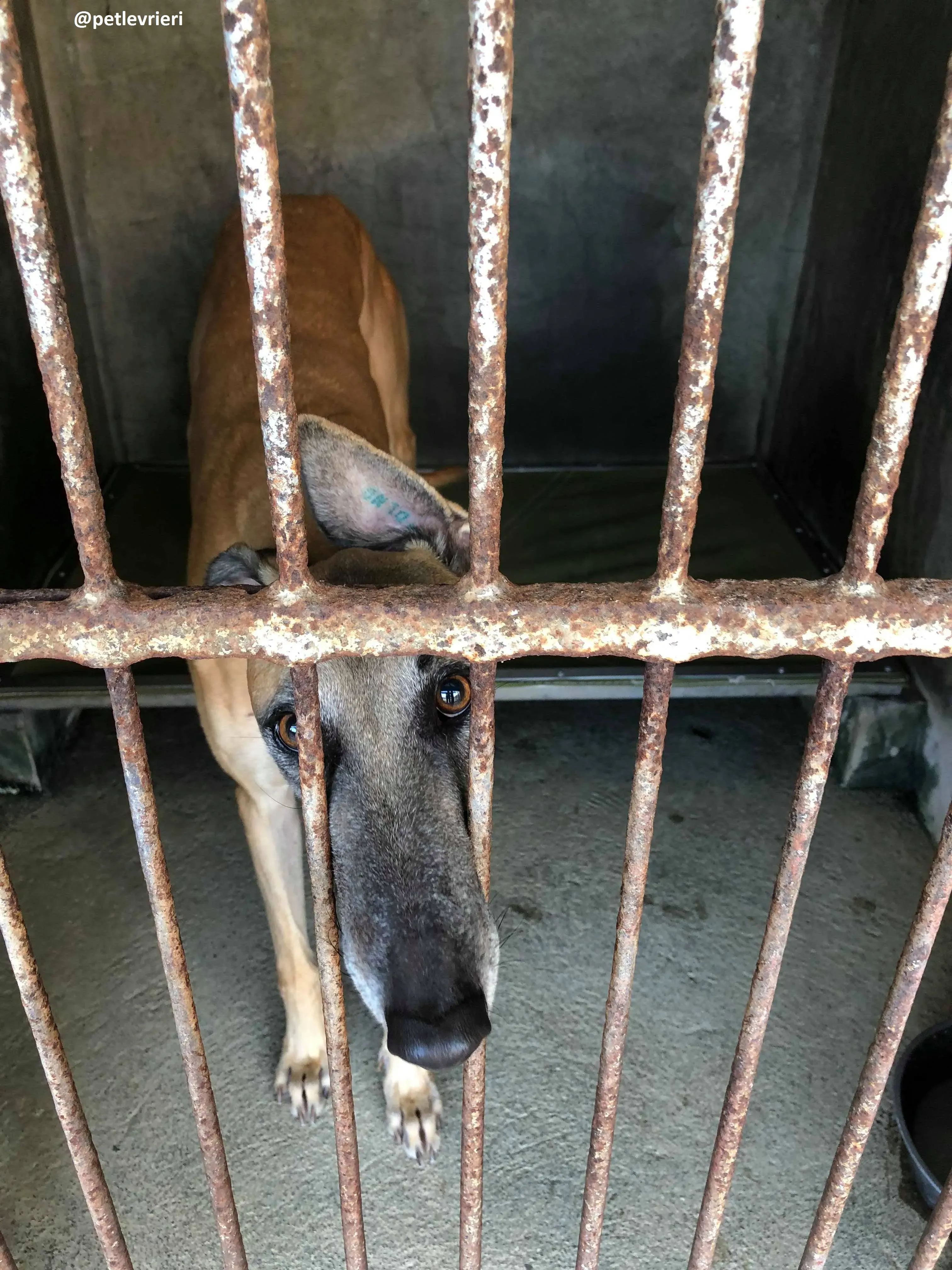 42271831 636478663414422 4438461375970279424 n