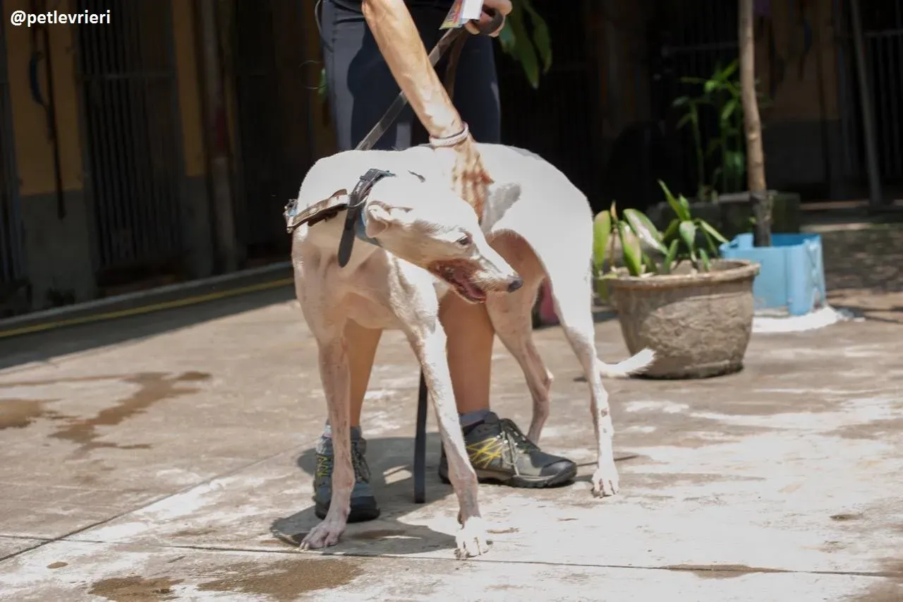 42271833 238125210205829 8047764399026339840 n