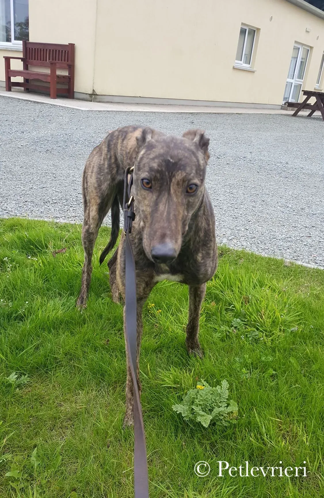 42273417 267857917399153 34152566325510144 n