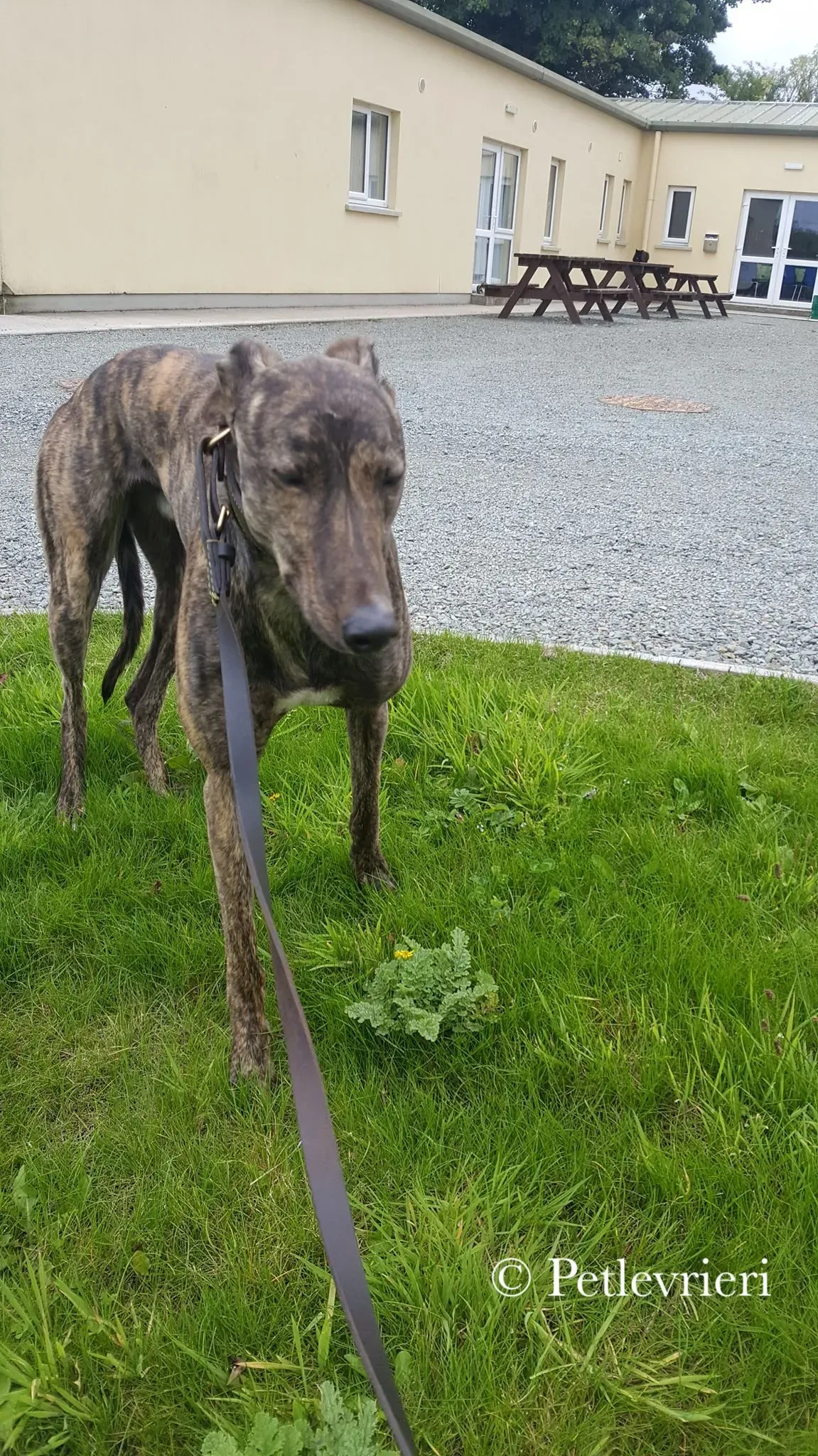 42273447 451180435290003 2477696337332666368 n