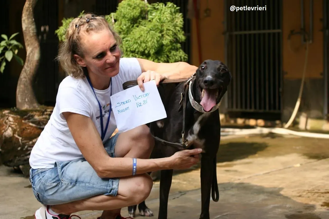 42273485 647997812262623 4069424475794309120 n