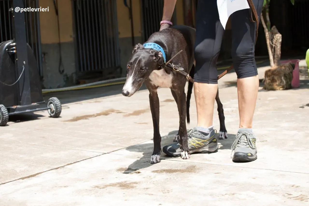 42274466 449010368838520 2336082349231439872 n