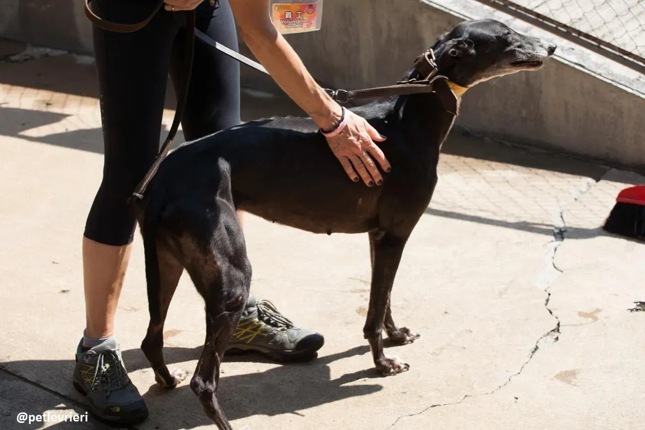 42274502 2018226868208113 1336968274943934464 n 1