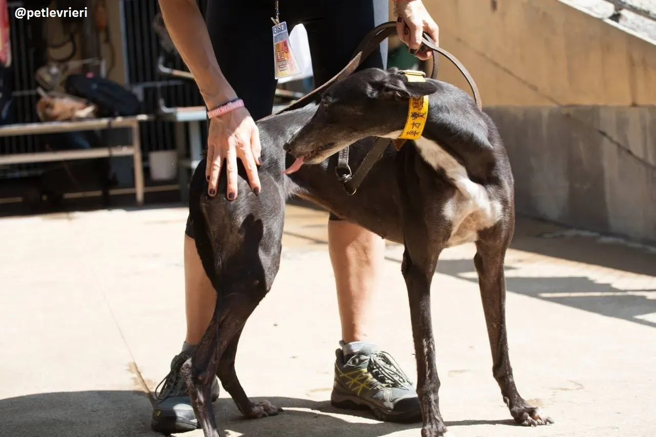 42274510 248880922491890 7535438838575923200 n 1