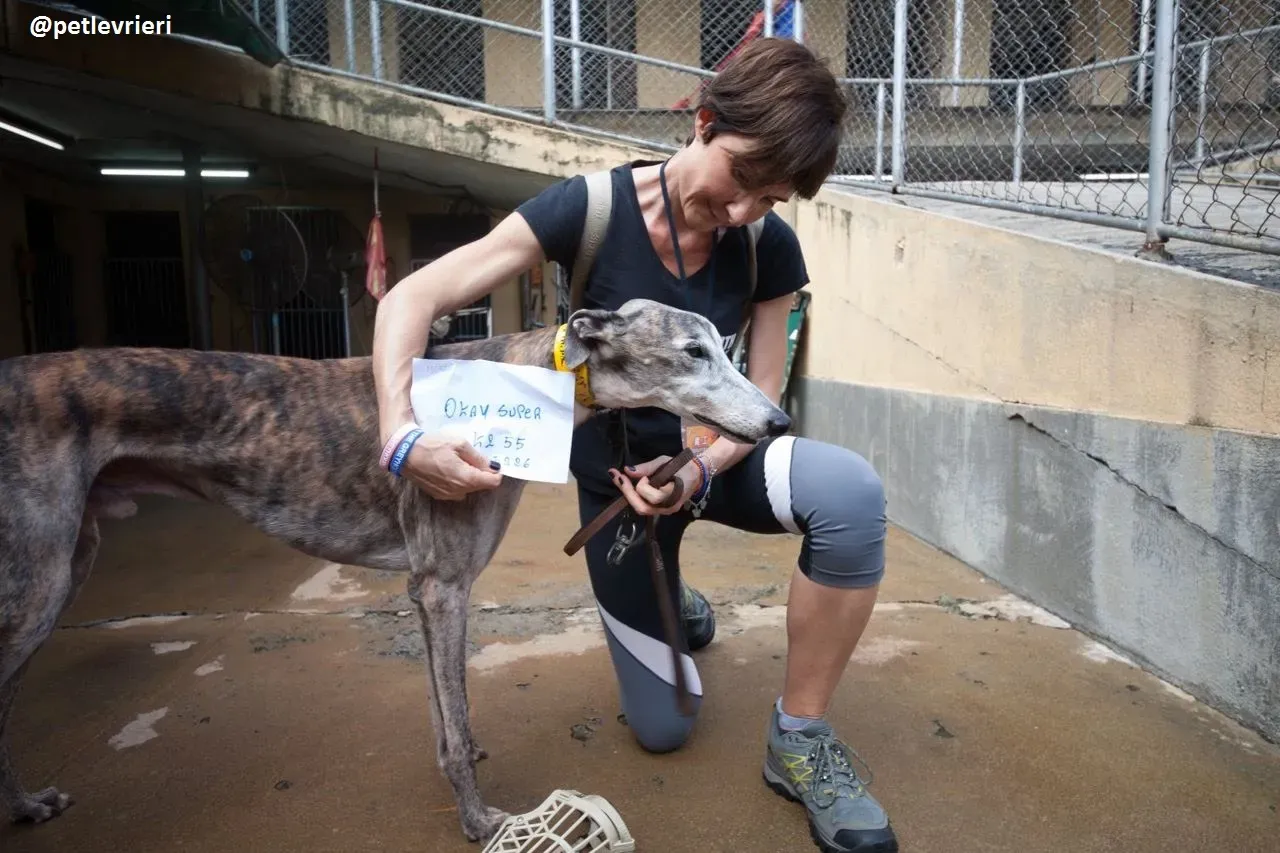 42275841 468623946963266 2266478147887169536 n