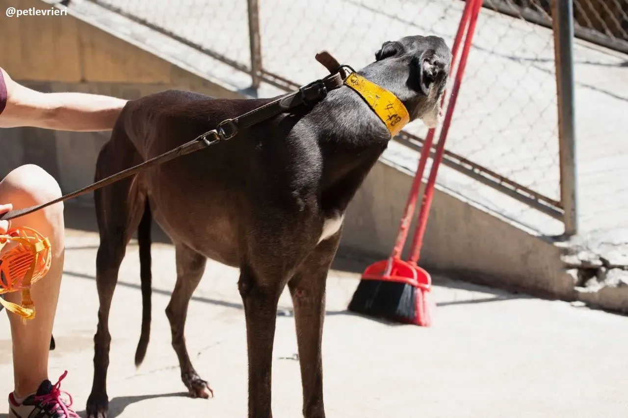 42278893 248517239194672 4844985699893510144 n