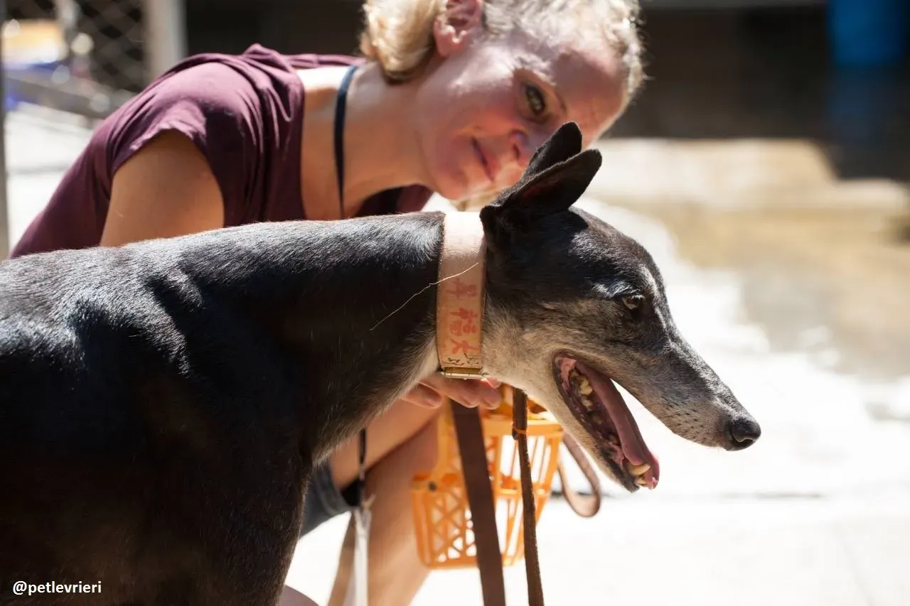 42279552 328704324346350 1162355688035319808 n