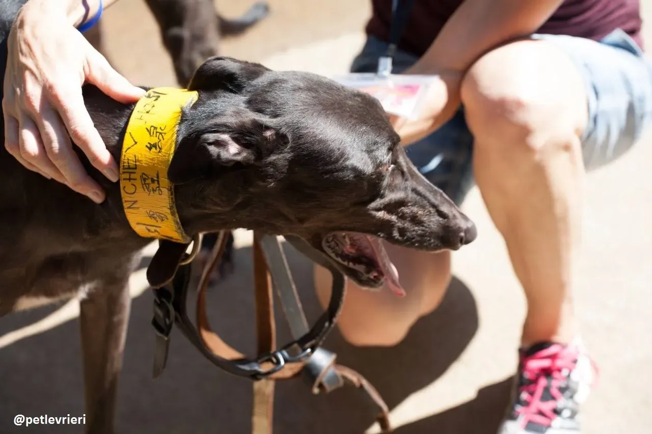 42279764 2187500714826594 7314951255007166464 n