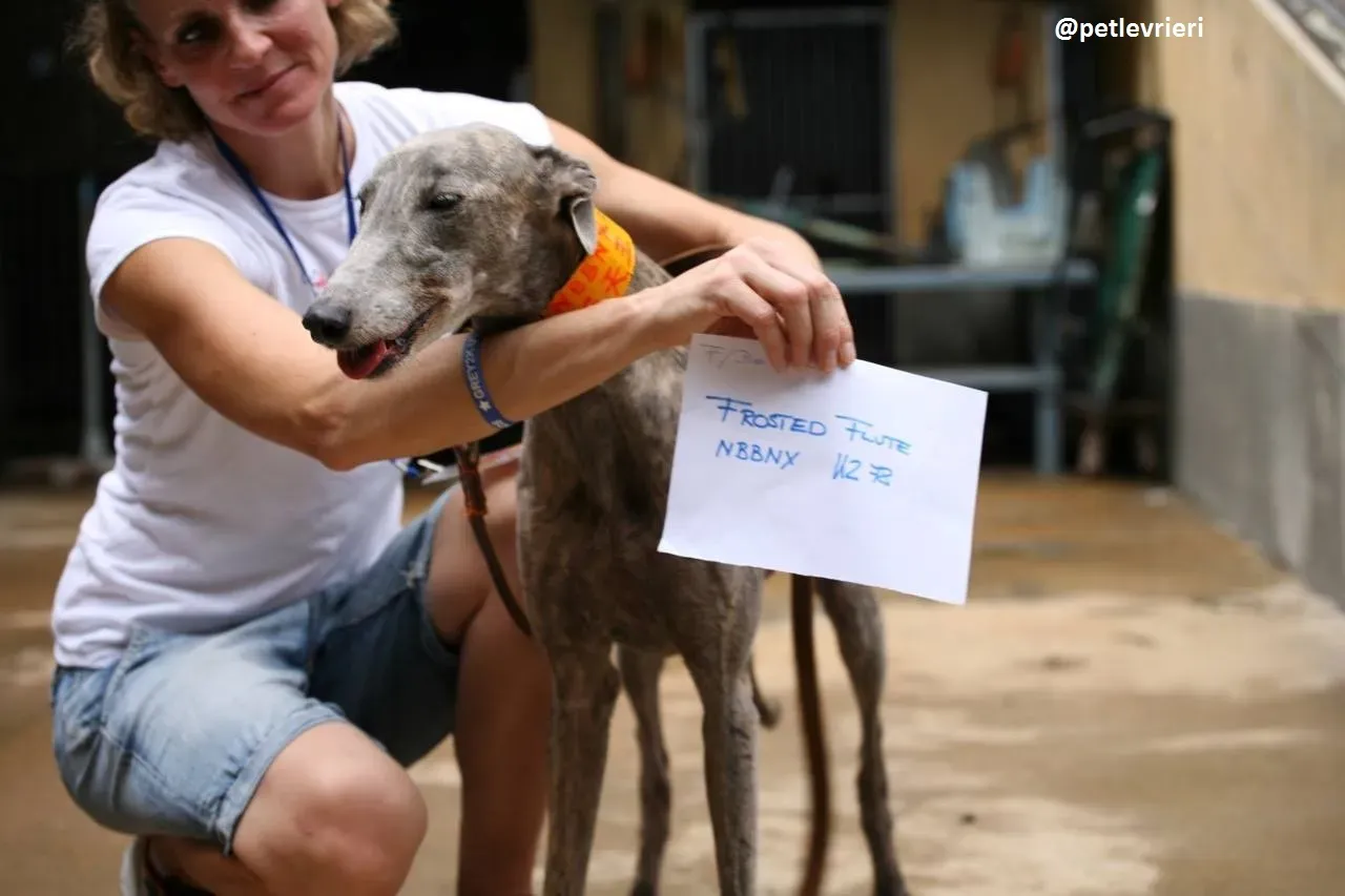 42282193 189717801832486 6648293479363379200 n