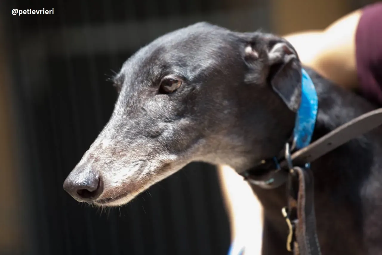 42282222 264712541053582 1157334381640024064 n