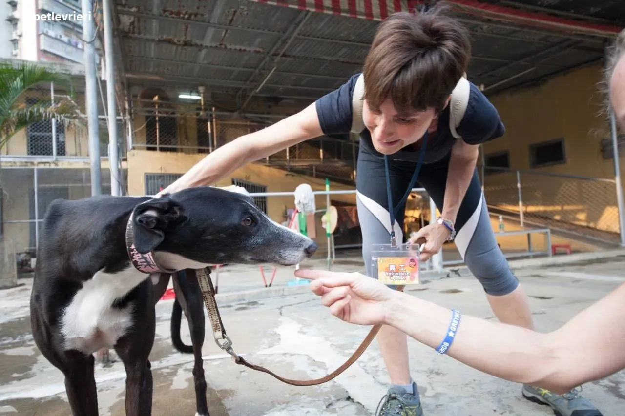 42282248 537652610033069 3529774797263208448 n