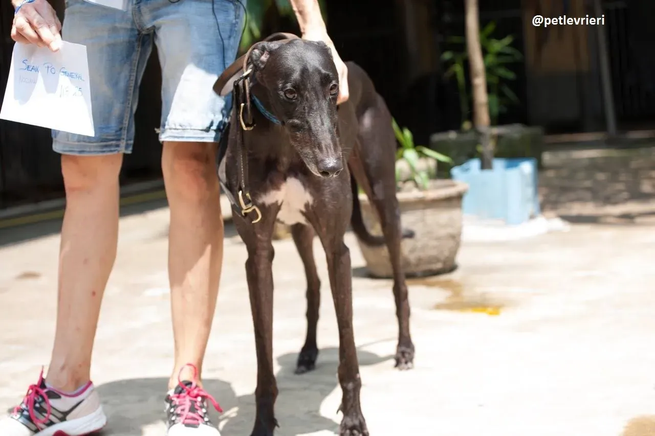 42283799 2150246775302716 7350812389387796480 n