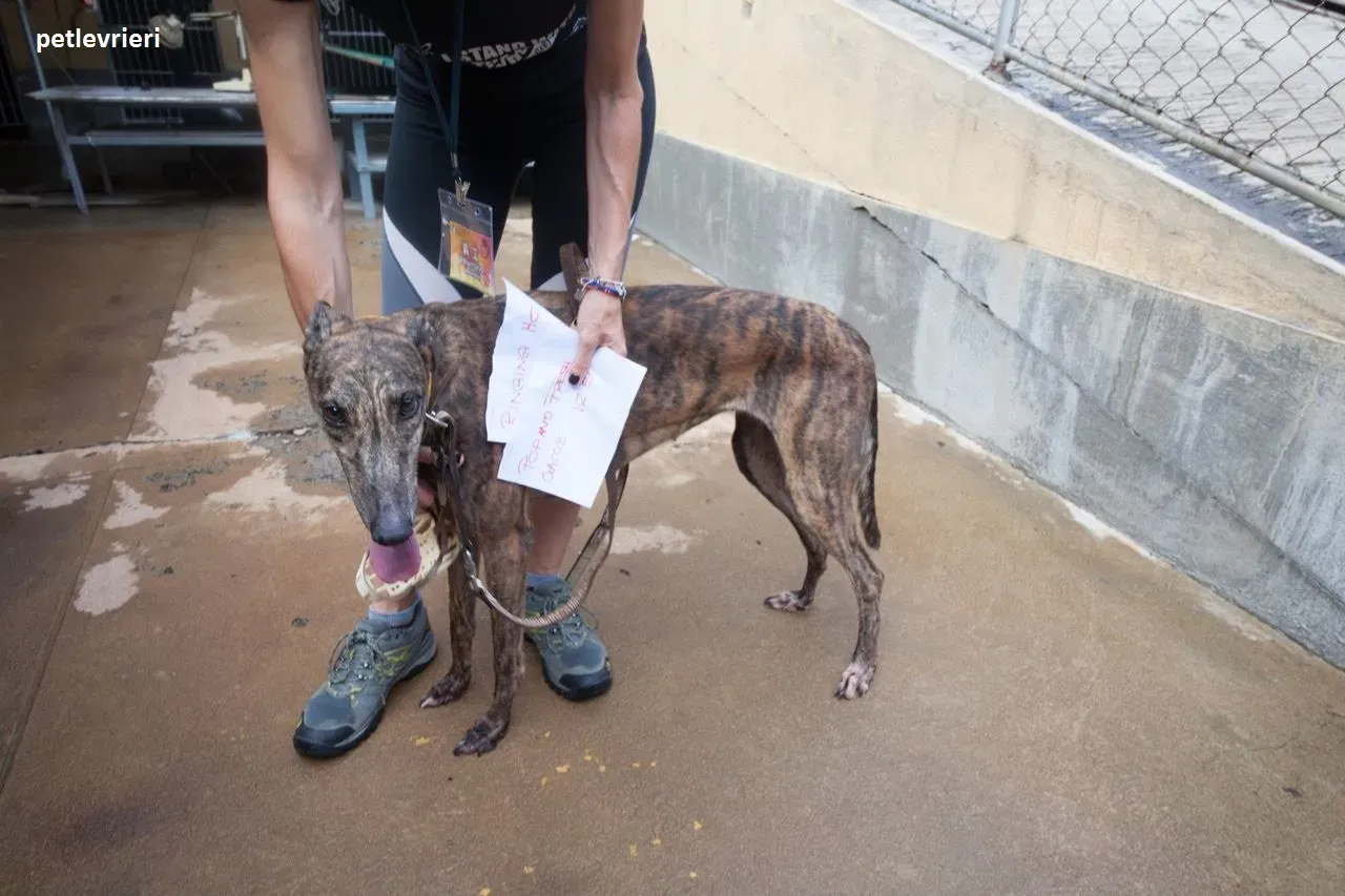 42284190 739653156369666 1795395934314561536 n