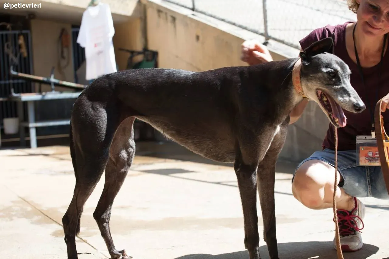 42284219 2188397061437014 7900470844957130752 n