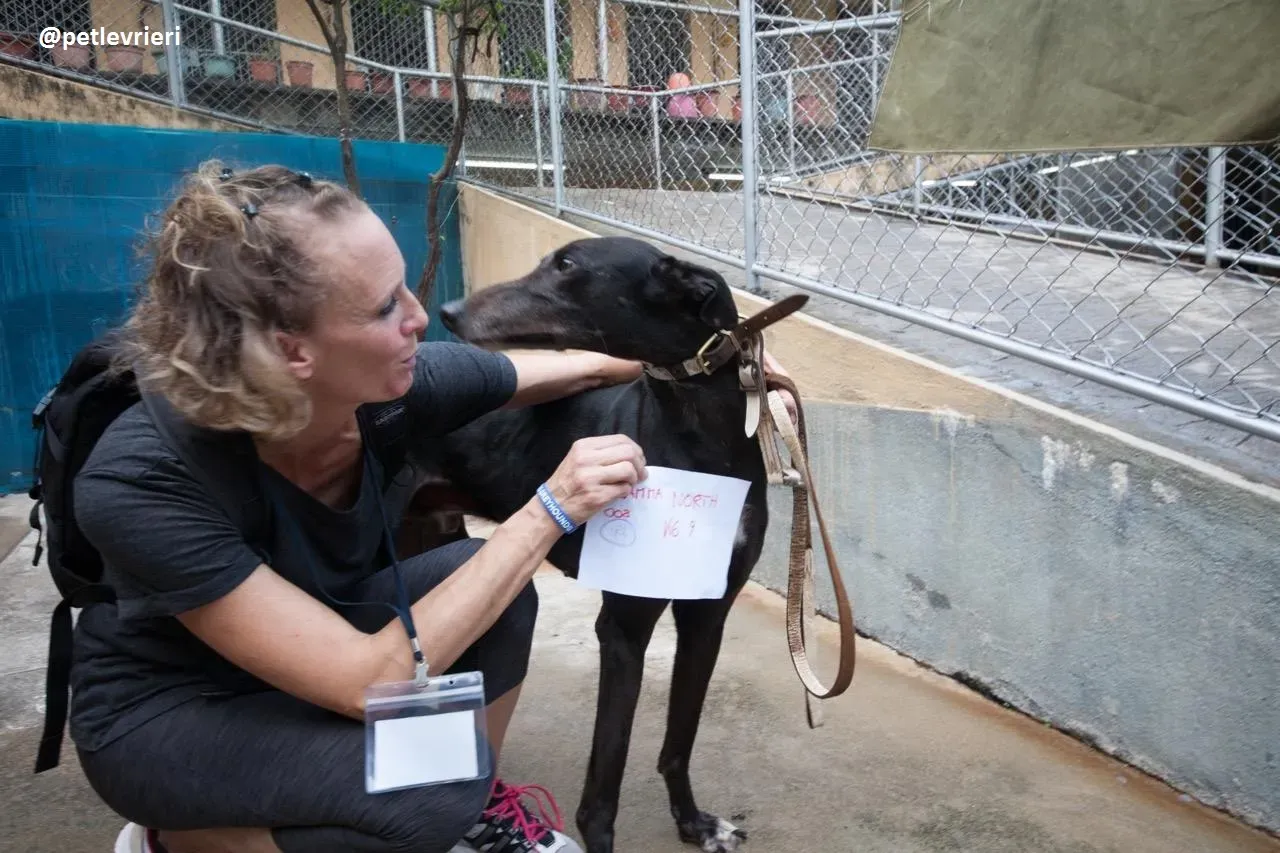 42288360 314756115771826 5570414656964526080 n