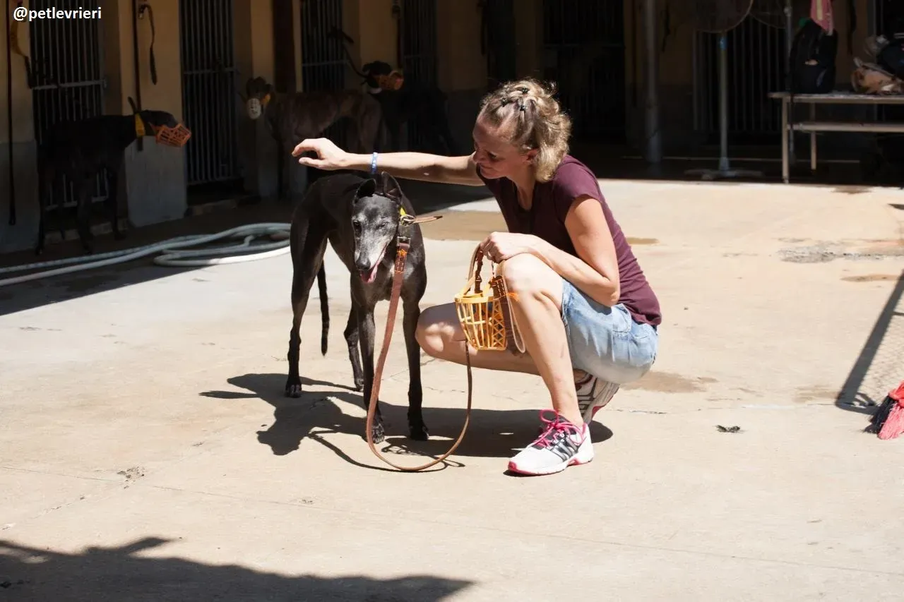 42289115 532298347183556 5674413952847577088 n