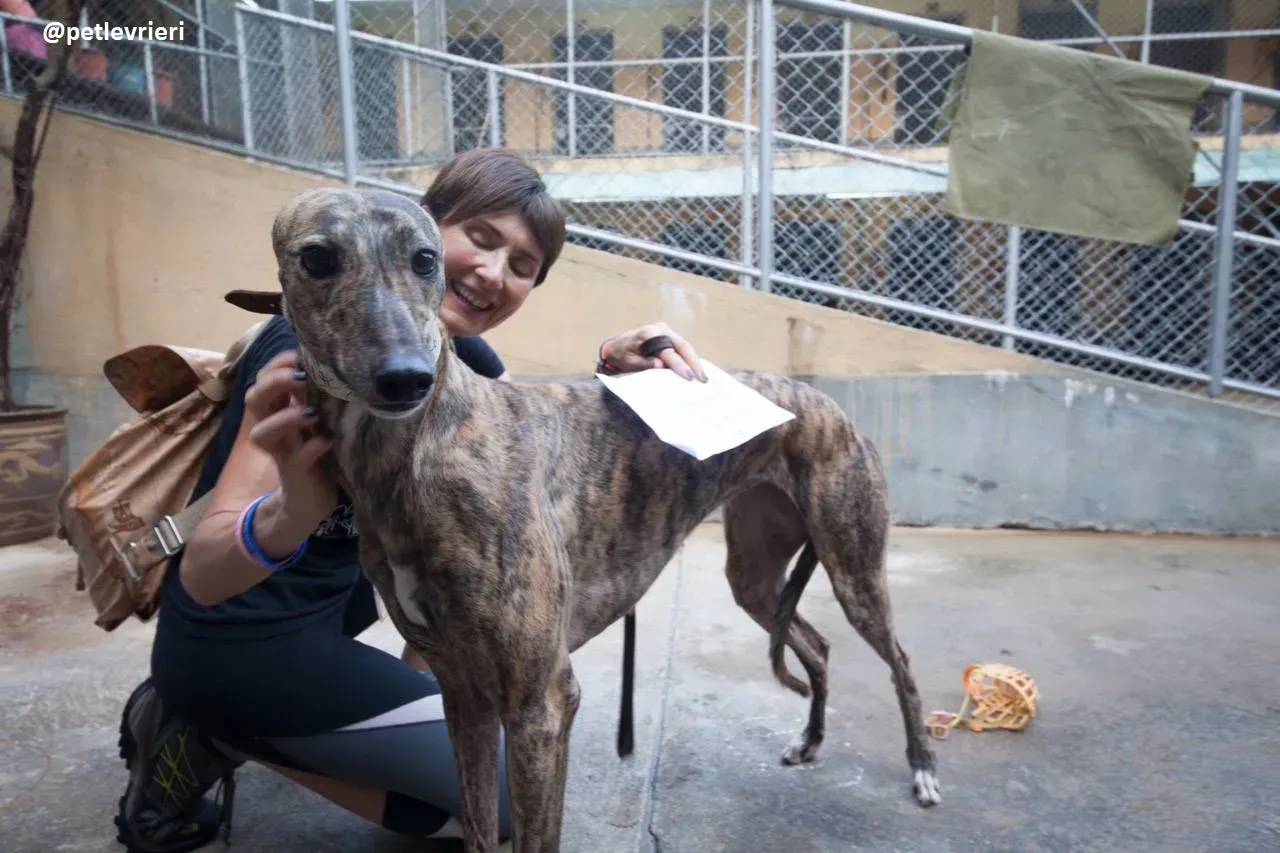 42289169 1917919711845225 3728449783828840448 n