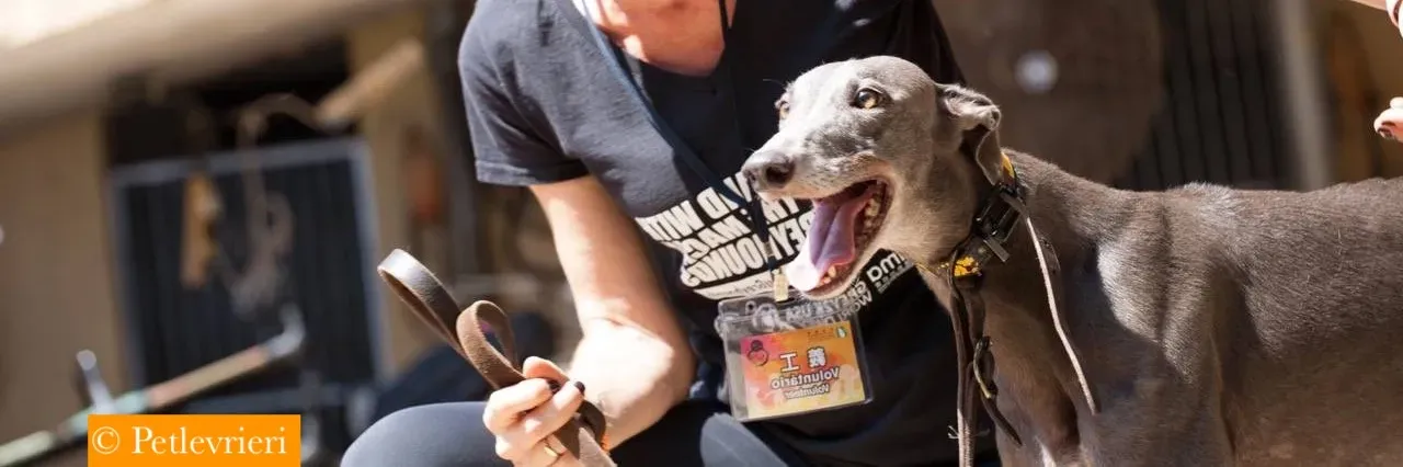 42290325 331326240972202 5802356072203157504 n