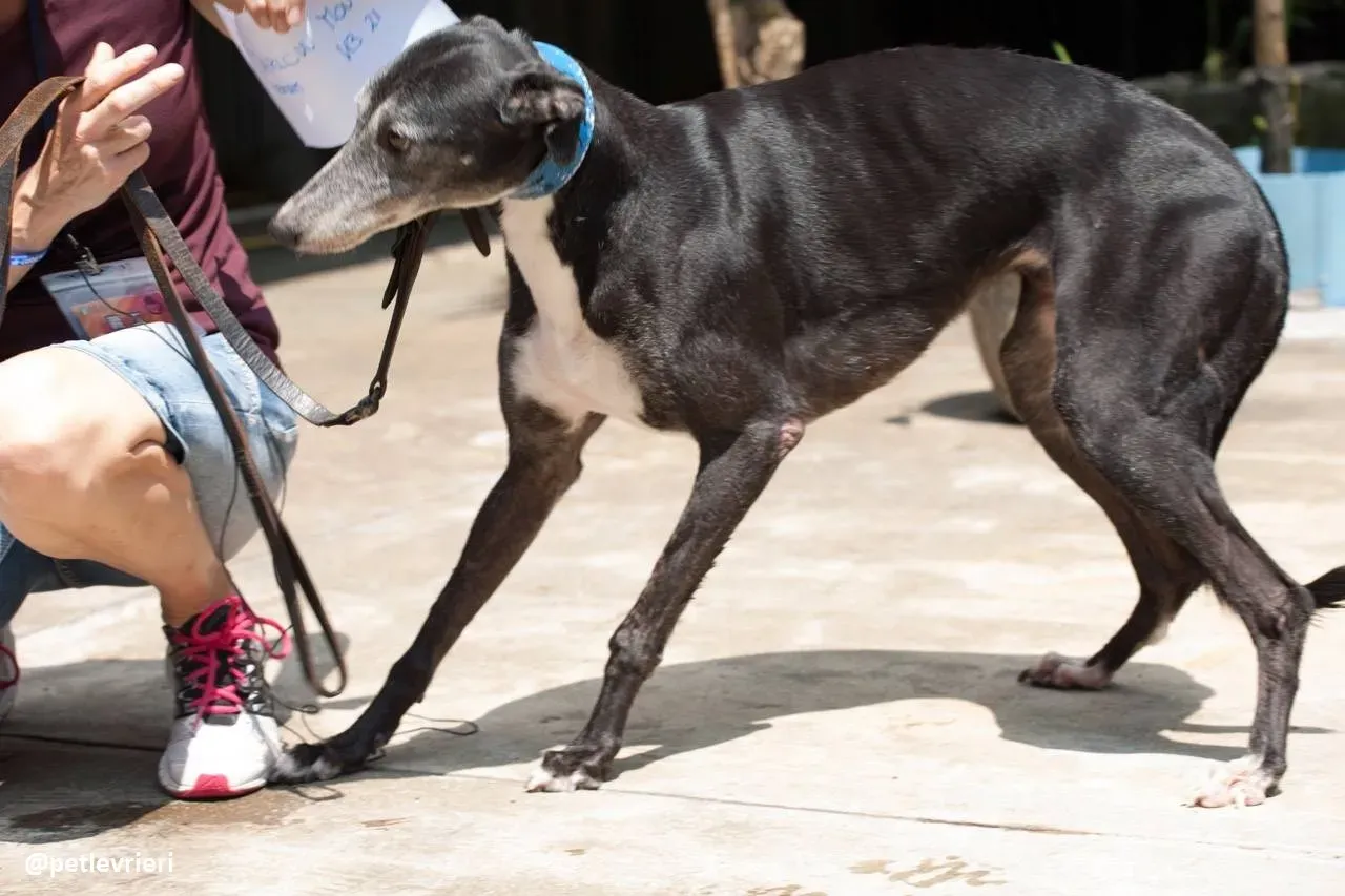 42290611 327656534634890 1495039126024486912 n