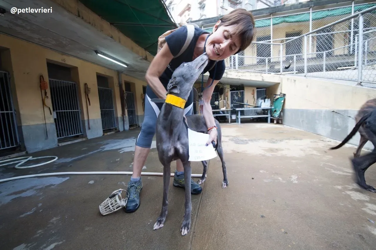 42290804 719220708416625 2427751013051006976 n