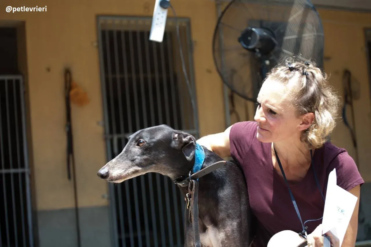 42291153 340152756551644 3921833190297174016 n 1