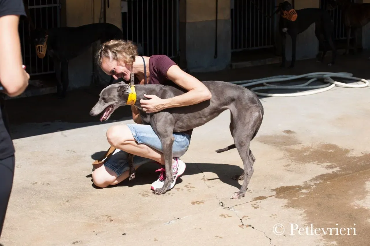 42291157 1647266138711929 2673607800206131200 n