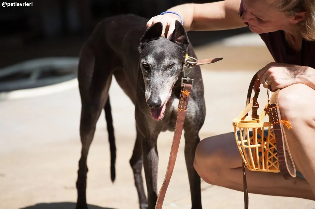 42291177 2010186315669449 8160478419776176128 n