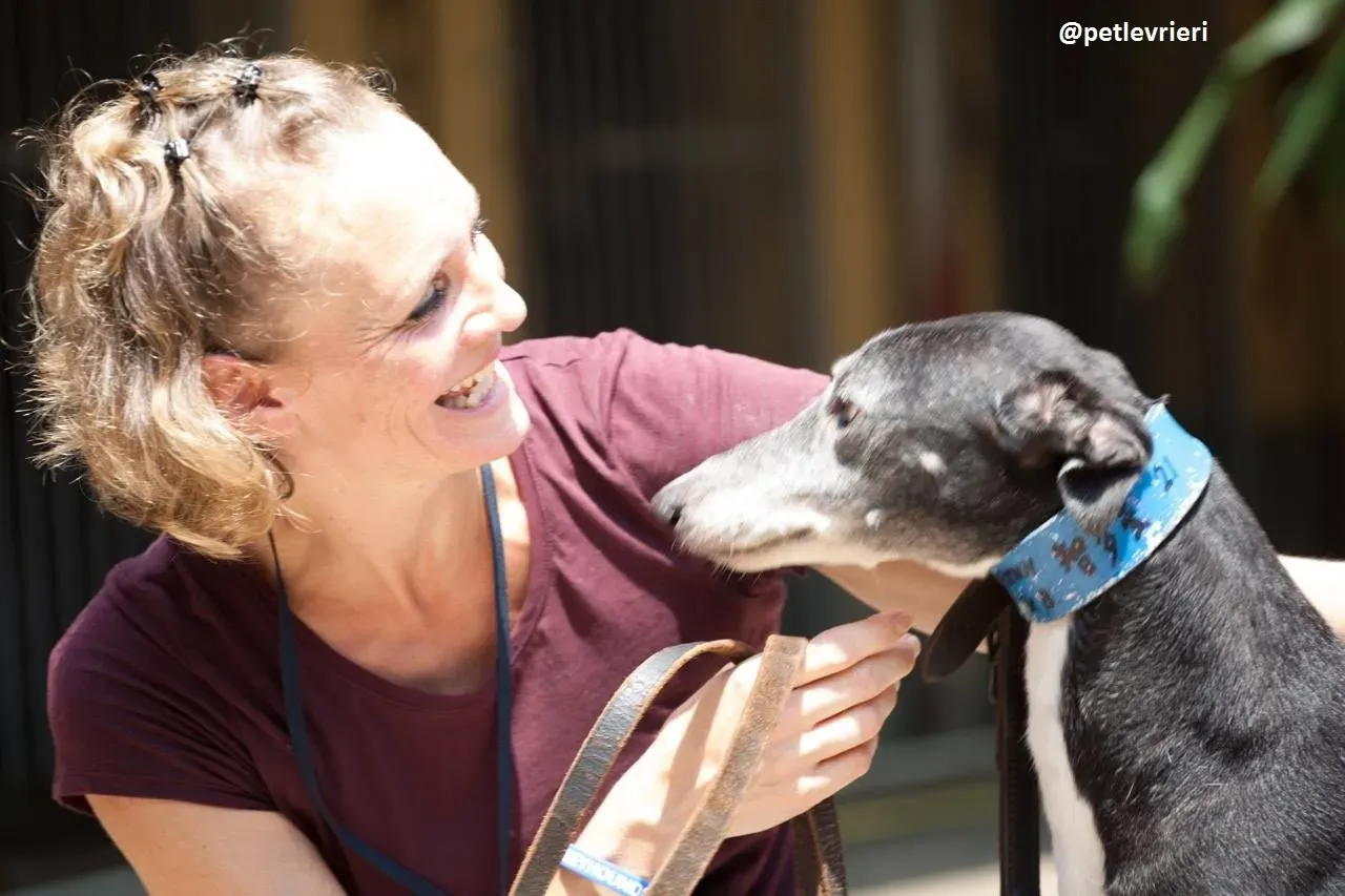 42292329 995427573963544 911436027791409152 n