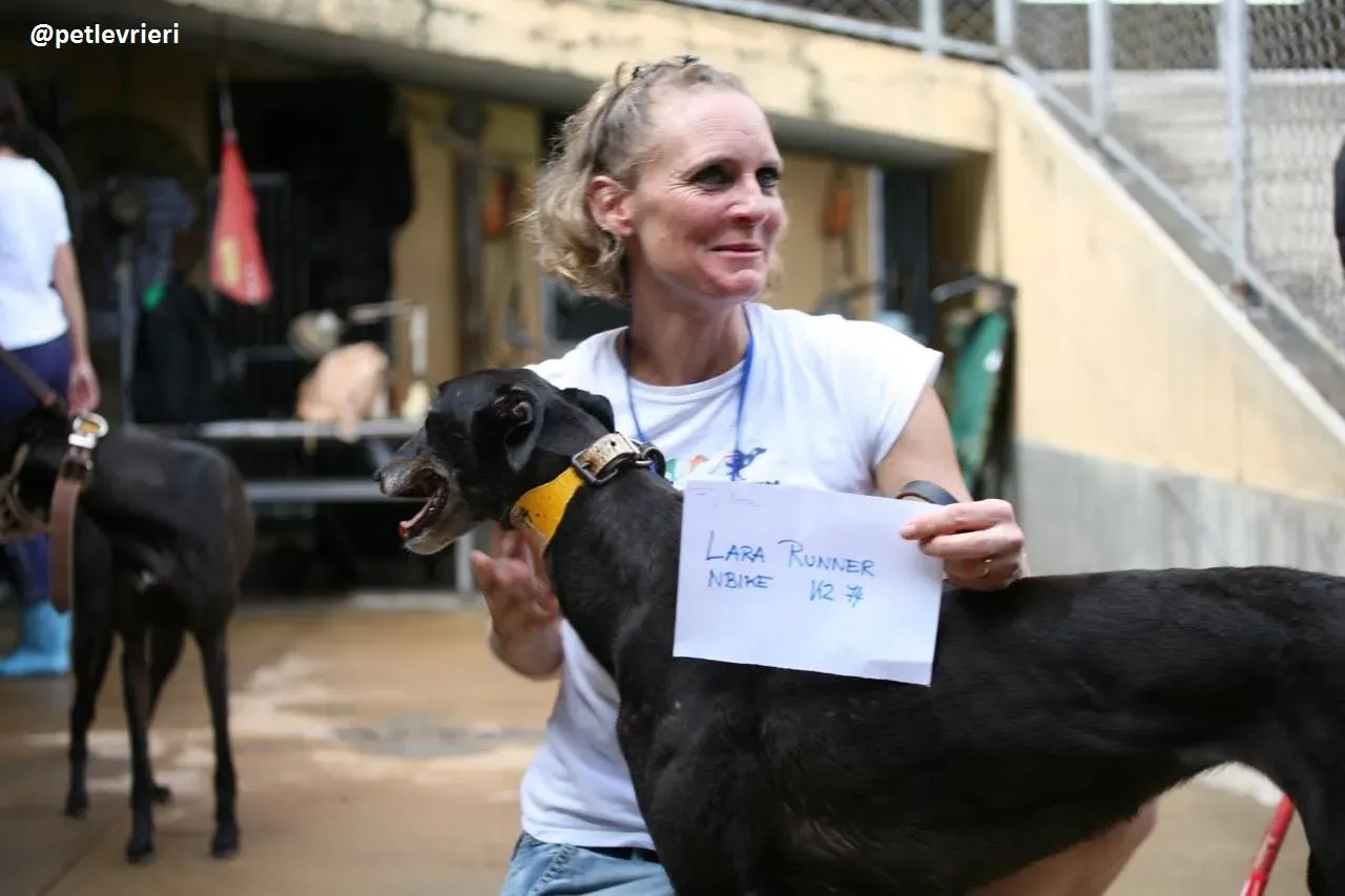 42292913 260311431169895 3145545266321424384 n