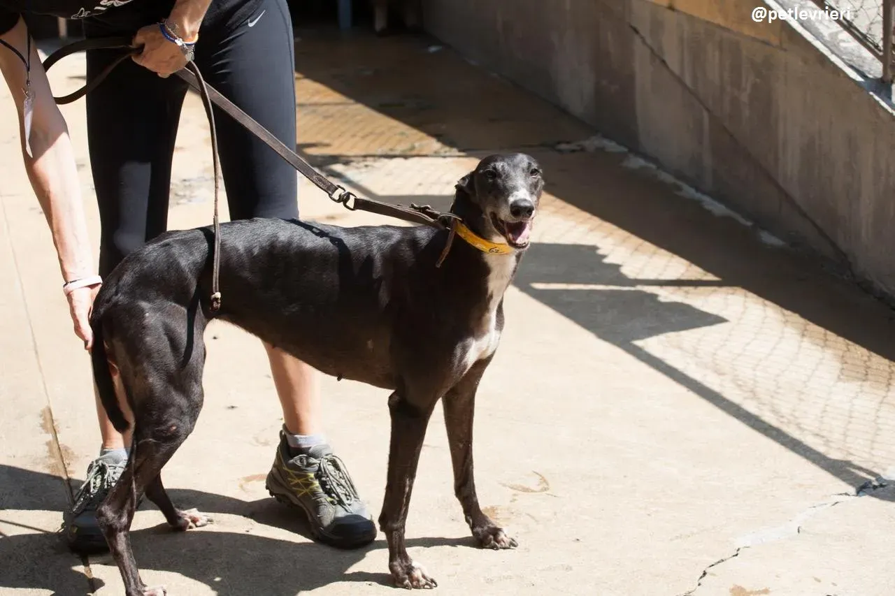 42294011 549103822210148 7408144713821192192 n 1