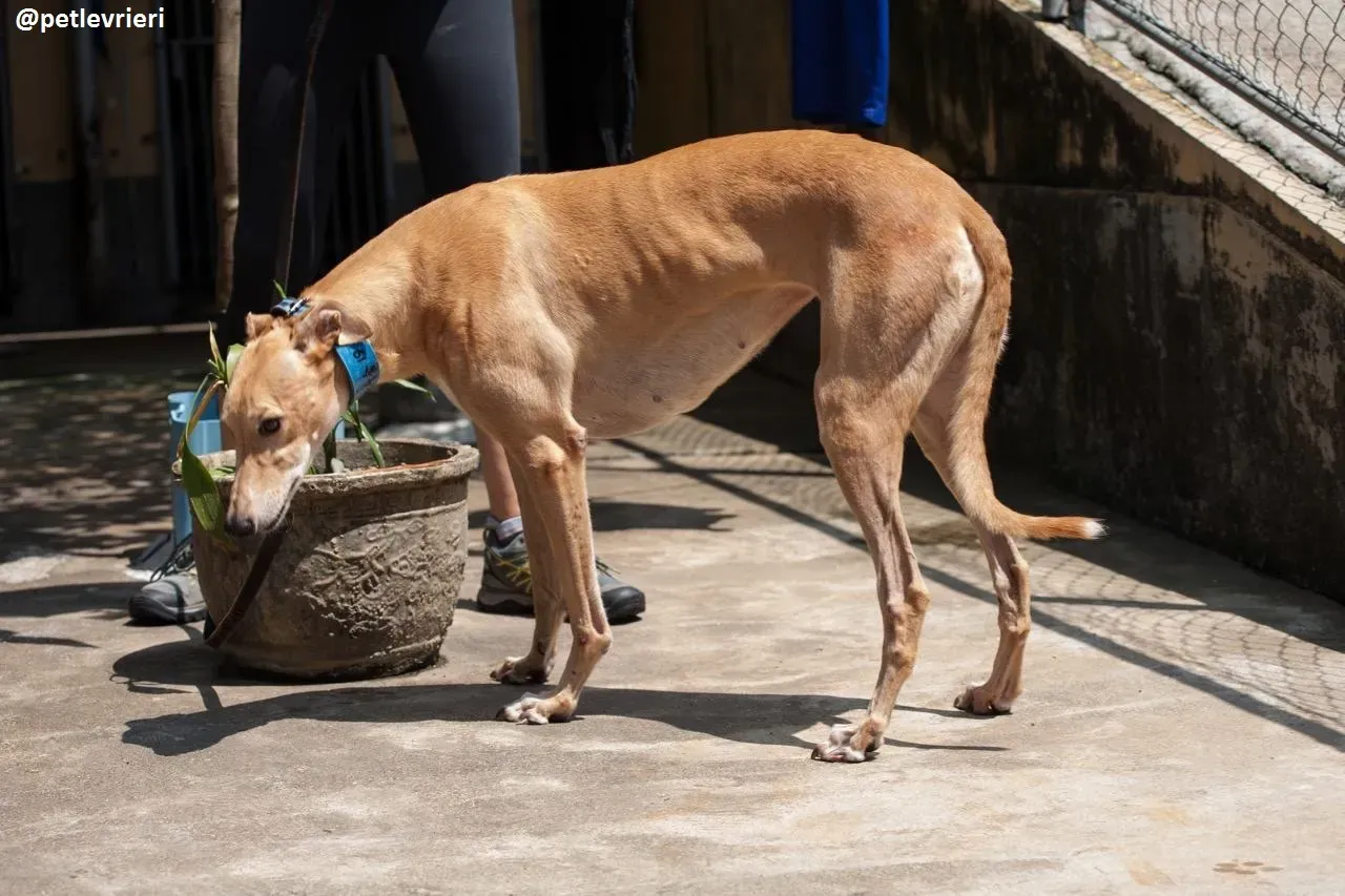 42295351 287527602083823 2279014822416744448 n