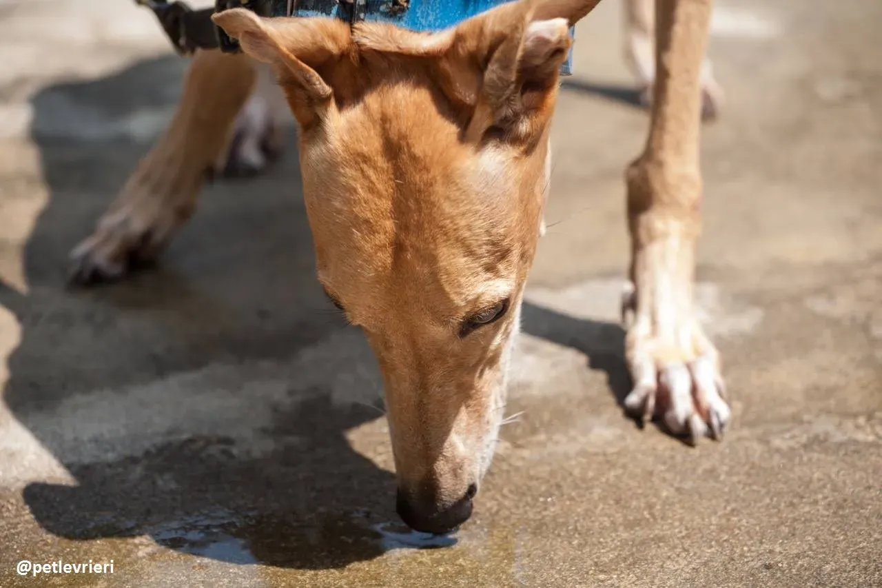 42296267 172364060278091 9151769168184344576 n