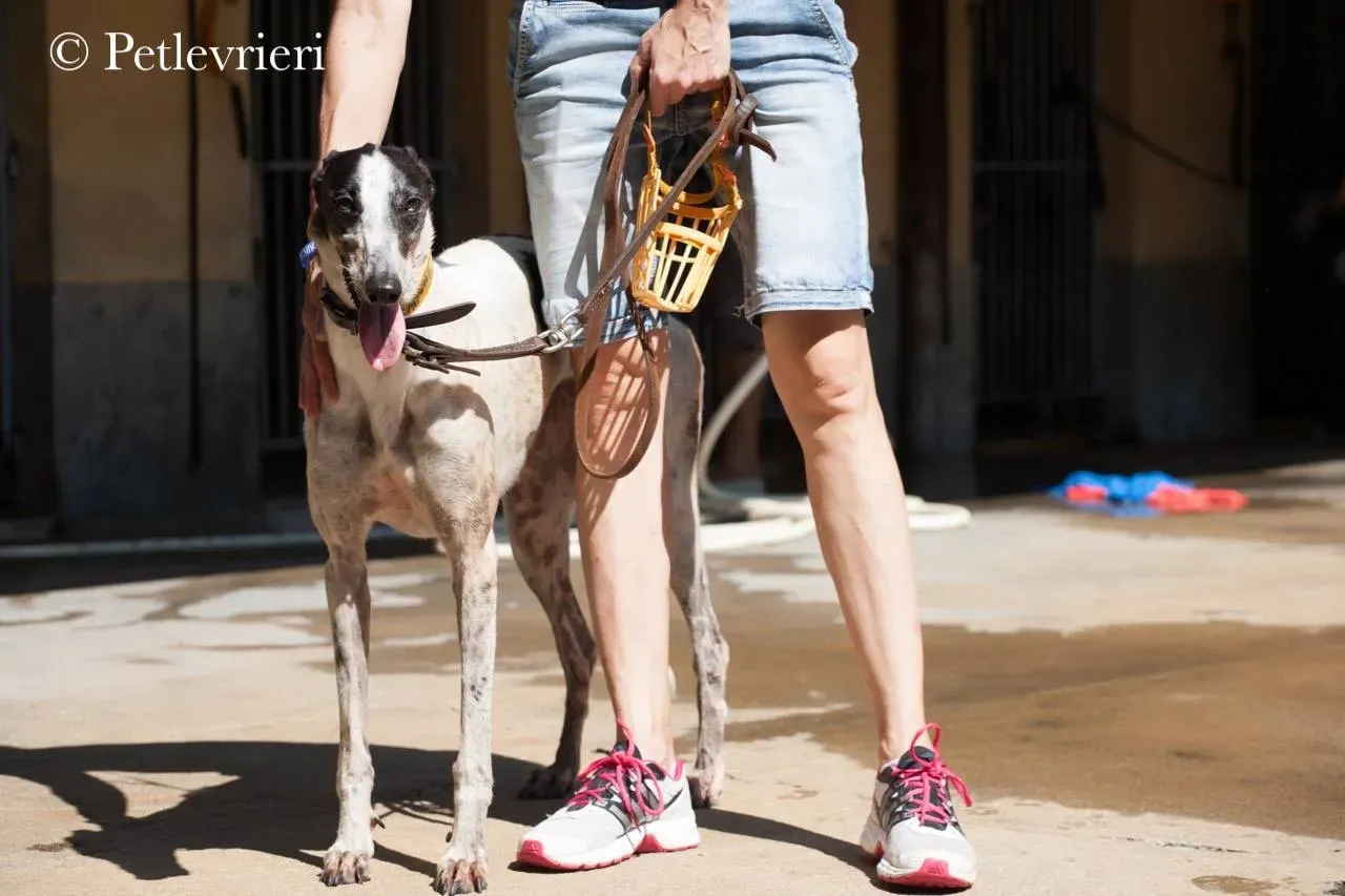 42298529 380298845841337 6819722073871482880 n