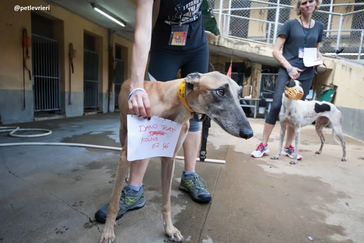 42298926 326180998140501 4921694125037715456 n