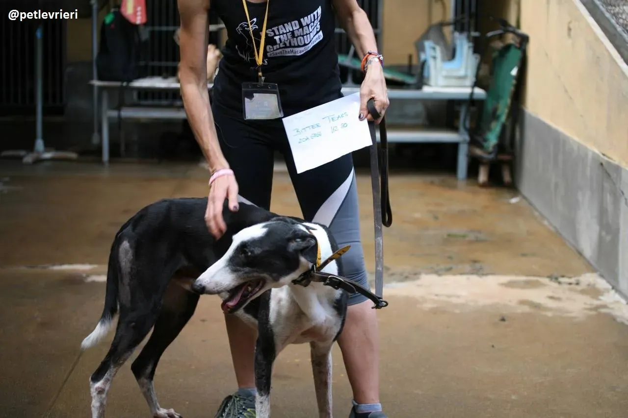 42301761 243059886352033 8394988908357615616 n